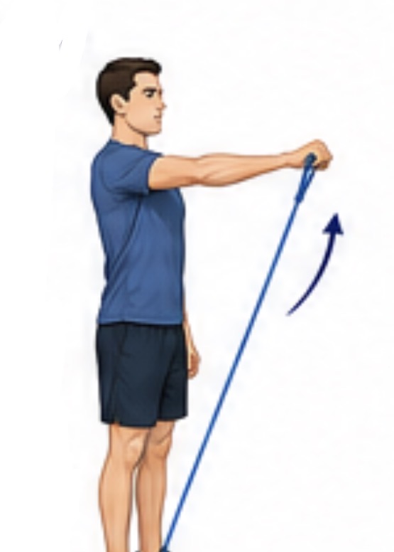 4. Elevação anterior com elástico